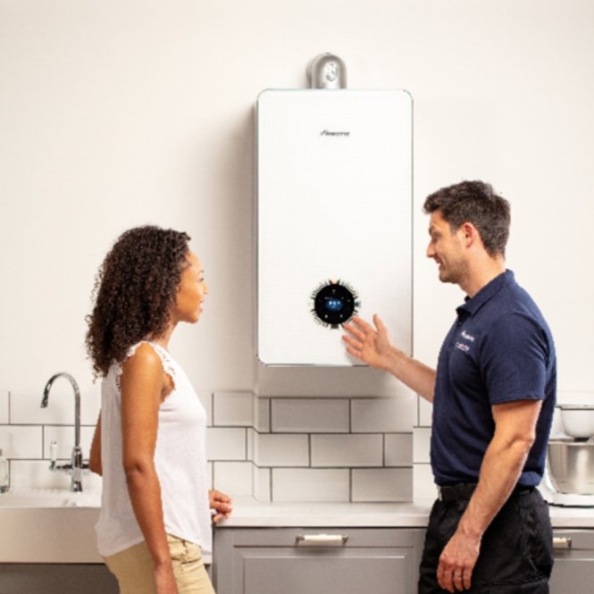 which boiler system boiler mdr heating and plumbing